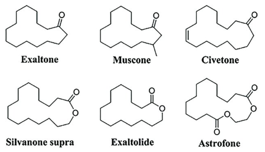 香精與香料(17)-香型與分子結(jié)構(gòu)特征的關(guān)系