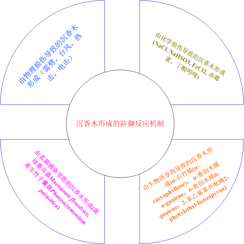 香精與香料(33)—沉香螺醇與沉香油