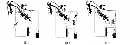 香精與香料(74)—梅花香