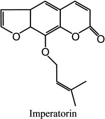 香精與香料(78)—香白芷