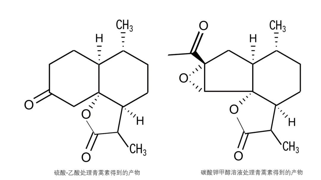 香精與香料(142)—青蒿