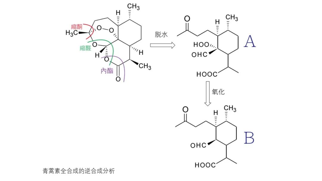 香精與香料(142)—青蒿