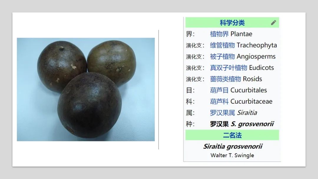 香精與香料(159)—羅漢果