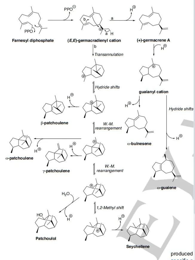 生物合成香料的化學(xué)組成、可持續(xù)性和天然性