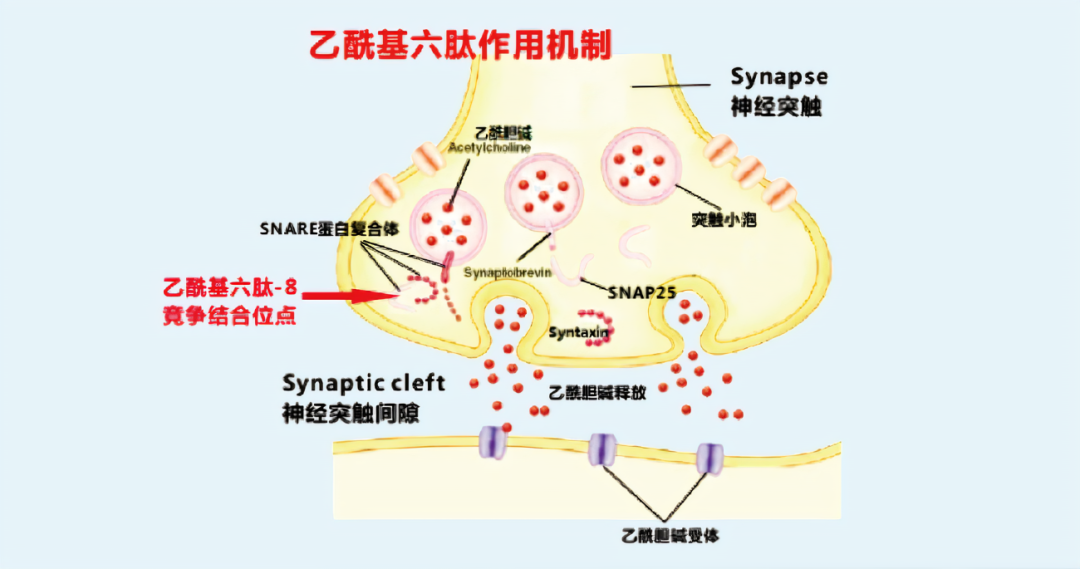 2022年護膚熱門功效成分有哪些？