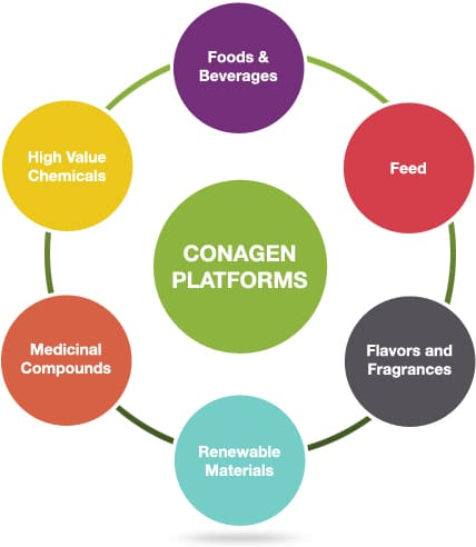 香料香精高新企業(yè)簡(jiǎn)介(2)——Conagen