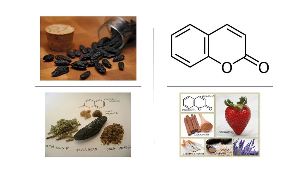 調(diào)香筆記(8)——50種常見的香水成分:氣味和起源