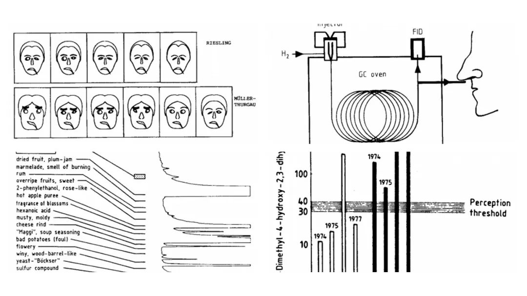 調(diào)香筆記(9)——多感官味覺感知:感官內(nèi)部和感官之間的調(diào)和、混合、融合和配對