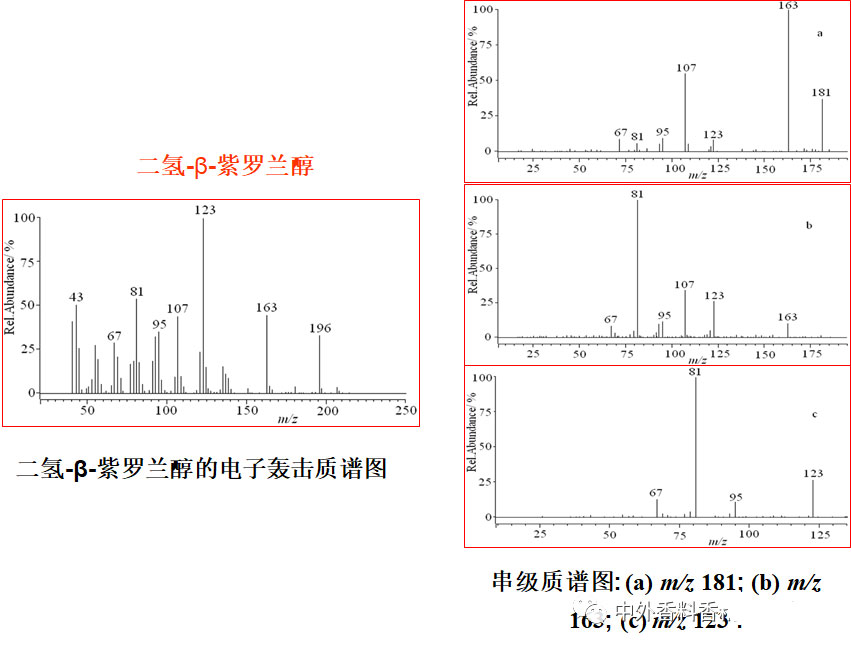 氣相色譜-質(zhì)譜定性分析